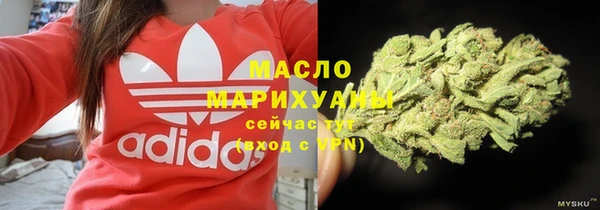 индика Пролетарск