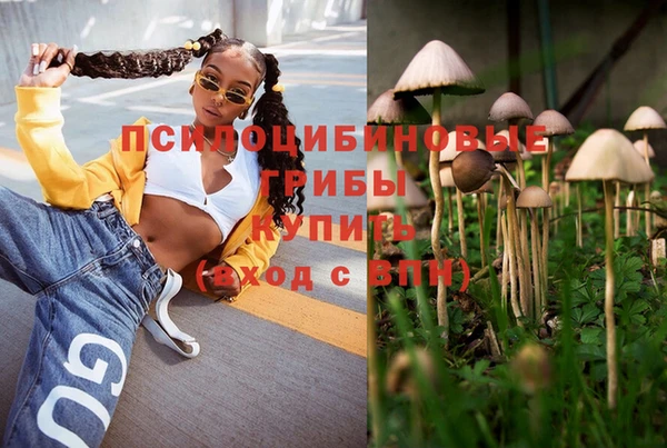 стаф Приозерск